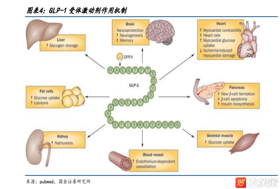 how long do semaglutide side effects last How Long Do Semaglutide Side Effects Last? Week-by-Week Guide 2026 how long do semaglutide side effects last How Long Do Semaglutide Side Effects Last? Week-by-Week Guide 2026